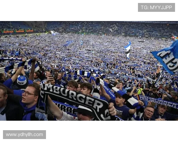 德甲球队所在城市的人口及球迷基础规模对比 德甲球队所在城市的人口及球迷基础规模对比