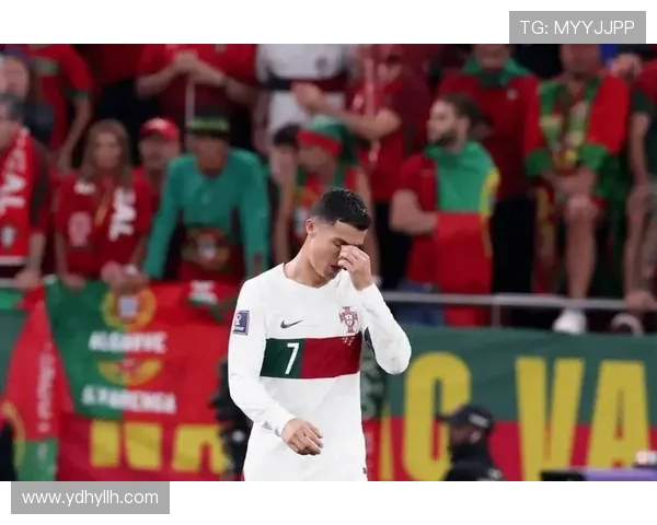 C罗在德甲球队的进球数据及历史表现总结 C罗在德甲球队的进球数据及历史表现总结