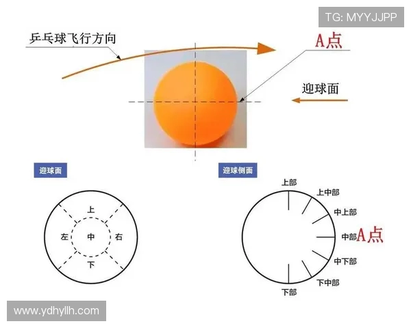法甲比赛技巧解析：关键技术动作与战术应用